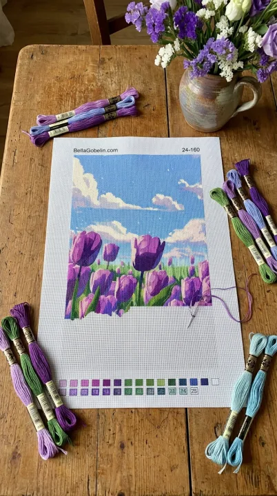 Lila Tulpen