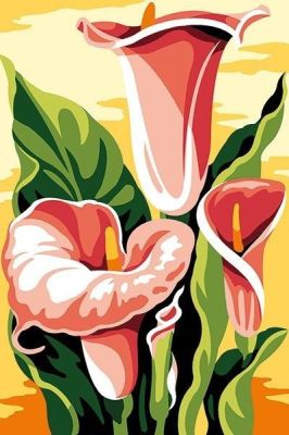 Pink Calla