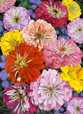 Bunte Blumen