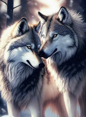 Wolfspaar