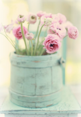 Blumen im Topf