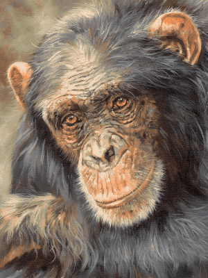 Der alte Affe