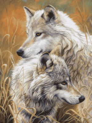 Das Wolfspaar