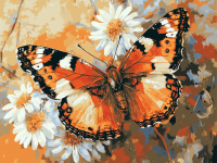 Der Schmetterling