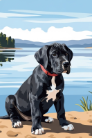 Hundeportrait – Deutsche Dogge Welpe am See – 25-907
