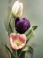 Drei Tulpen