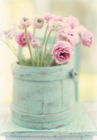 Blumen im Topf